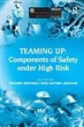 JOCHUM, Kateri Jochum, Jochum Kateri, Professor Rainer Dietrich, Rainer Dietrich, Kateri Jochum - Teaming Up: Components of Safety Under High Risk