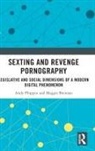 Jennifer Agate, Jennifer Brennan Agate, Maggie Brennan, Jocelyn Ledward, Andy Phippen, Andy Brennan Phippen... - Sexting and Revenge Pornography