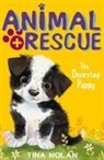 Tina Nolan - The Doorstep Puppy