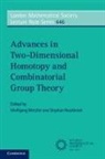 EDITED BY WOLFGANG M, Wolfgang Metzler, Wolfgang Rosebrock Metzler, Wolfgang Metzler, Wolfgang (Johann Wolfgang Goethe-Universitat Frankfurt) Metzler, Stephan Rosebrock - Advances in Two-Dimensional Homotopy and Combinatorial Group Theory