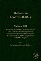 Maria (EDT)/ Malkova Spies, Anna Malkova, Maria Spies - Mechanisms of DNA Recombination and Genome Rearrangements