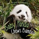Ben Richmond - Baby Panda Chews Bamboo