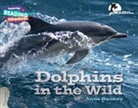 Anna Bunney - Cambridge Reading Adventures Dolphins in the Wild 3 Explorers