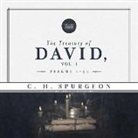 C. H. Spurgeon, Charles Haddon Spurgeon, Bob Souer - The Treasury of David, Vol. 1: Psalms 1-36 (Audio book)