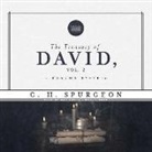 C. H. Spurgeon, Charles Haddon Spurgeon, Bob Souer - The Treasury of David, Vol. 2: Psalms 37-74 (Audio book)