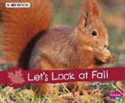 Sarah L. Schuette - Let's Look at Fall