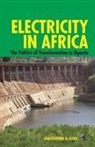 Christopher Gore, Christopher D. Gore - Electricity in Africa