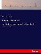 Washington Irving - A History of New York