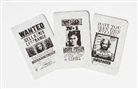 Insight Editions, Insight Editions, Insight Editions (COR) - Harry Potter - Wanted Posters Pocket Journal Collection