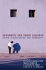 Richard Rosenfeld, Mark Edberg, Xiangming Fang, Curtis S Florence, Curtis S. Florence, Richard Rosenfeld - Economics and Youth Violence