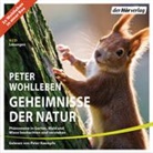Peter Wohlleben, Peter Kaempfe - Geheimnisse der Natur, 9 Audio-CDs (Hörbuch)