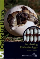 Andreas S. Hennig - Incubating Chelonian Eggs