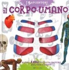Il corpo umano. Oltre 100 cose da sapere sul tuo corpo