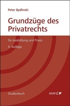 Peter Bydlinski - Grundzüge des Privatrechts (f. Österreich)