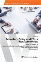 Teresa Feit - Monetary Policy and FDI: a literature review