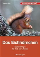 Dr. Johanna Prinz, Johanna Prinz - Das Eichhörnchen - Kopiervorlagen für die 2. bis 4. Klasse
