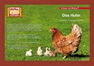 Das Huhn / Kamishibai Bildkarten