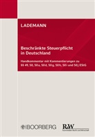Anissimov, Wjatschesla Anissimov, Wjatscheslav Anissimov, Wo Boochs, Wolfgang Boochs, Wolfgang (Dr. Boochs... - LADEMANN, Beschränkte Steuerpflicht in Deutschland