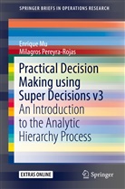 Enriqu Mu, Enrique Mu, Milagros Pereyra-Rojas - Practical Decision Making using Super Decisions v3