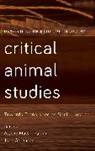 Atsuko Matsuoka, Atsuko Sorenson Matsuoka, John Sorenson, Atsuko Matsuoka, Matsuoka Atsuko, John Sorenson - Critical Animal Studies