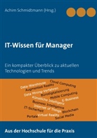 Achi Schmidtmann, Achim Schmidtmann - IT-Wissen für Manager
