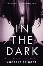 Andreas Pfluger, Andreas Pflüger - In The Dark