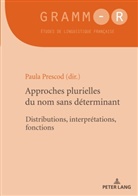 Paula Prescod, Dan Van Raemdonck - Approches plurielles du nom sans déterminant