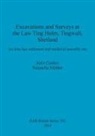 Joris Coolen, Natascha Mehler - Excavations and Surveys at the Law Ting Holm, Tingwall, Shetland