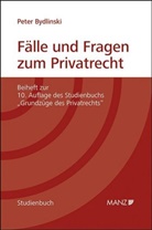 Peter Bydlinski - Fälle und Fragen zum Privatrecht