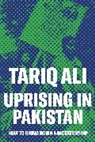 Tariq Ali - Uprising in Pakistan