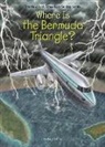 Tim Foley, Megan Stine, Who HQ, Tim Foley - Where Is the Bermuda Triangle?