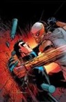 Javier Fernandez, Tim Seeley, Javier Fernandez - Nightwing