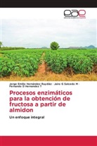 Jorge Emili Hernández Ruydiáz, Jorge Emilio Hernández Ruydiáz, Fernando D Hernandez T, Jairo G Salcedo M - Procesos enzimáticos para la obtención de fructosa a partir de almidon