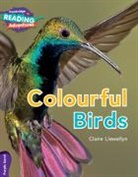 Claire Llewellyn, Llewellyn Claire - Cambridge Reading Adventures Colourful Birds Purple Band
