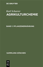 Karl Scharrer - Karl Scharrer: Agrikulturchemie - Band 1: Pflanzenernährung