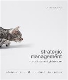 Dallas Hanson, Hanson Dallas, Michael Hitt, Robert Hoskisson, R. Duane Ireland, Ireland R. Duane - Strategic Management