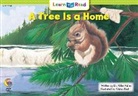 Alden Dr Kelley, Kristen Kest - A Tree Is a Home