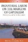 Chris (EDT)/ Parry Hann, Chris Hann, Hann Chris, Jonathan Parry, Parry Jonathan - Industrial Labor on the Margins of Capitalism