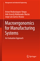 Jorge Luis García-Alcaraz, Aide Maldonado-Macias, Aide Aracely Maldonado-Macias, Artur Realyvásquez Vargas, Arturo Realyvásquez Vargas - Macroergonomics for Manufacturing Systems