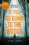 Seth C Adams, Seth C. Adams - If You Go Down to the Woods