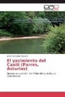 Javier Fernández Irigoyen - El yacimiento del Caxili (Parres, Asturias)