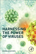 Marintcheva, Boriana Marintcheva, Boriana (Department of Biological Sciences Marintcheva - Harnessing the Power of Viruses