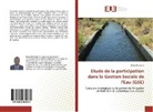Donal Bissainte - Etude de la participation dans la Gestion Sociale de l'Eau (GSE)