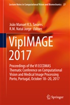 M Natal Jorge, M Natal Jorge, Joã Manuel R S Tavares, João Manuel R S Tavares, R. M. Natal Jorge, R.M. Natal Jorge... - VipIMAGE 2017
