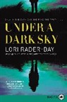 Lori Rader-Day - Under a Dark Sky