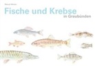 Marcel Michel - Fische und Krebse in Graubünden