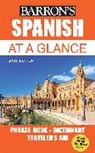 Gail Stein, Gail/ Wald Stein, Heywood Wald - Barron's Spanish At a Glance