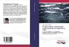 Sonia Remiro Fondevilla - El microrrelato metaficcional contemporáneo en Argentina y Cuba