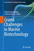 Pabul H Rampelotto, Pabulo H Rampelotto, Pabulo H Rampelotto, Pabulo H. Rampelotto, Trincone, Trincone... - Grand Challenges in Marine Biotechnology
