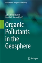 Branimir Jovan¿i¿evi¿, Branimir Jovancicevic, Branimir Jovančićević, Ja Schwarzbauer, Jan Schwarzbauer - Organic Pollutants in the Geosphere